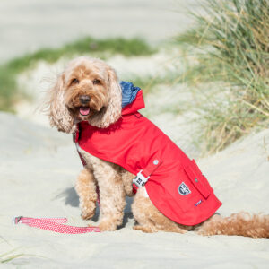 Hugo & Hudson Red Raincoat for Dogs