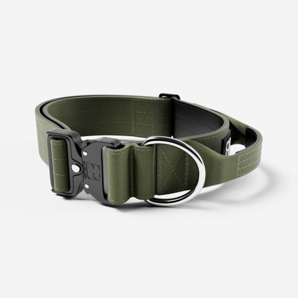 BULLYBILLOWS 5cm Combat Dog Collar - Khaki v2.0