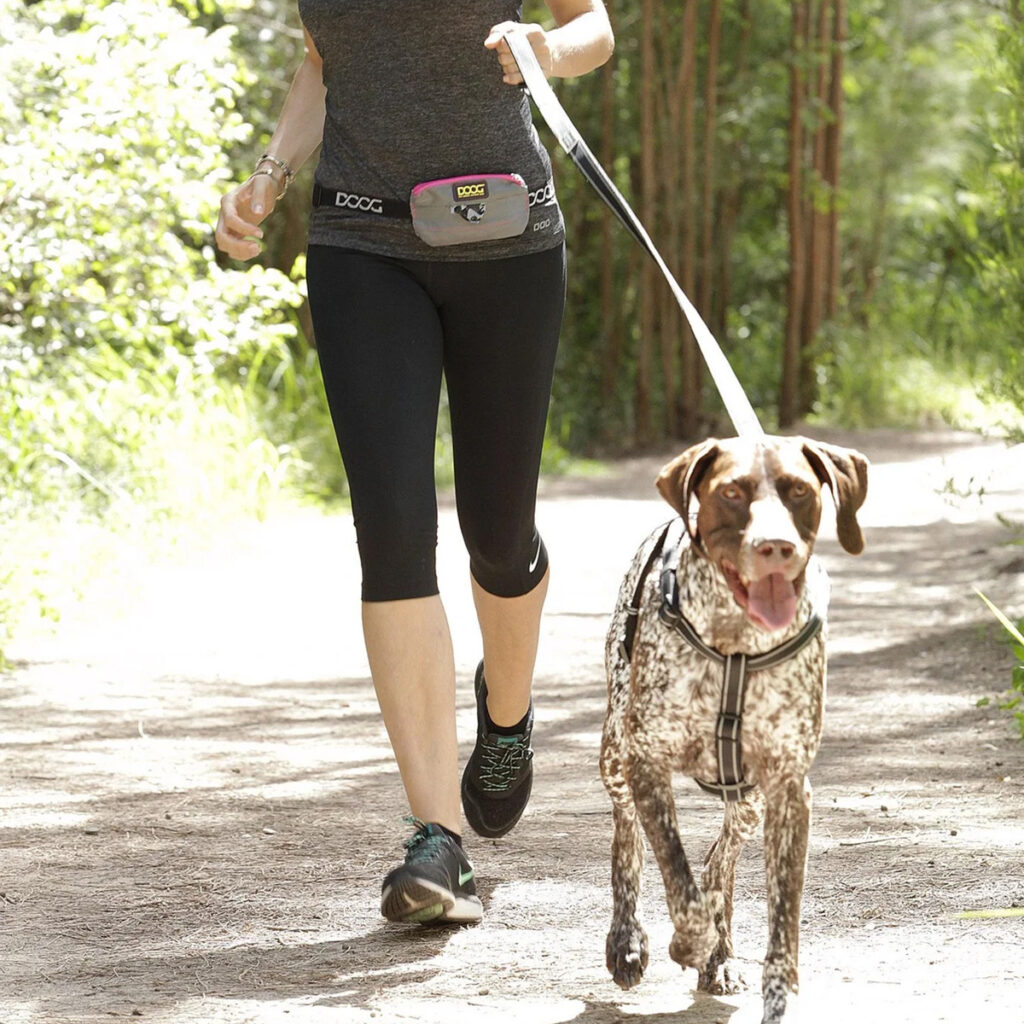 DOOG Mini Belt - Neon Grey with pink trim