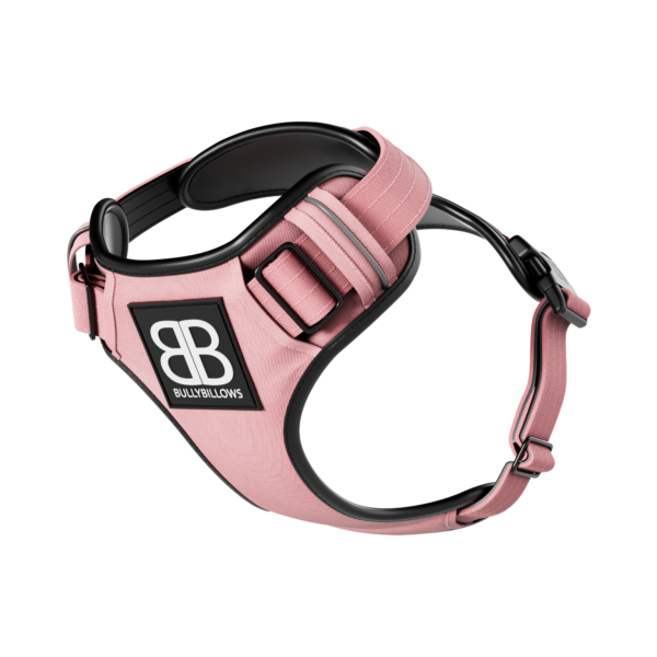Bully Billows Premium Harness Pink