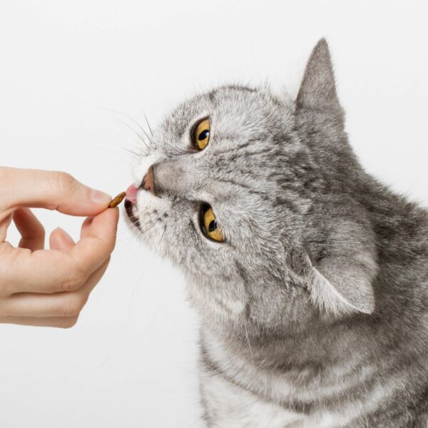 Treats