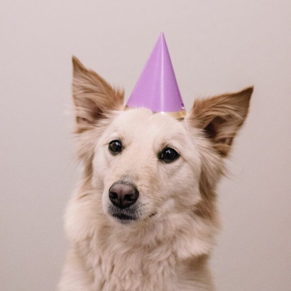 Birthday & Special Occasions