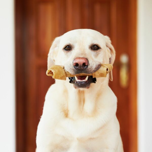 Treats
