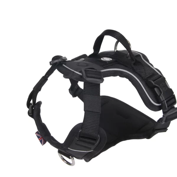 BullyBillows Hurricane Harness Black from Catdog Store