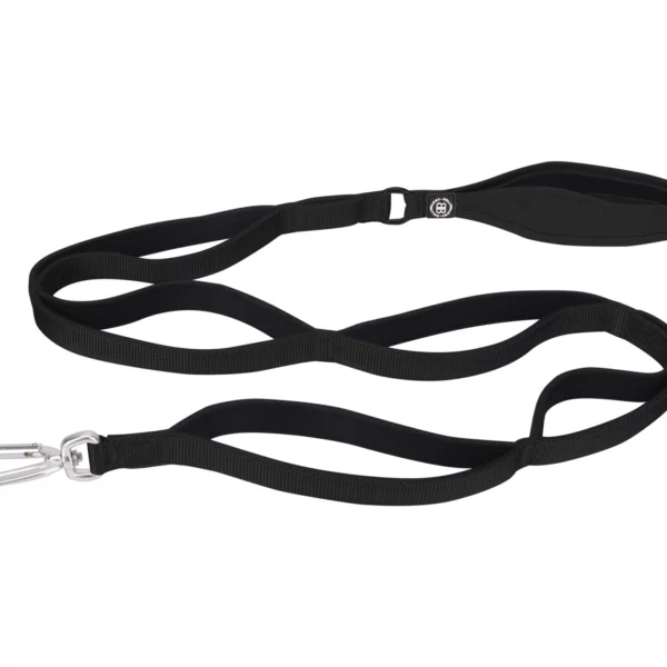 Bullybillows Ladder Lead Black from Catdog Store