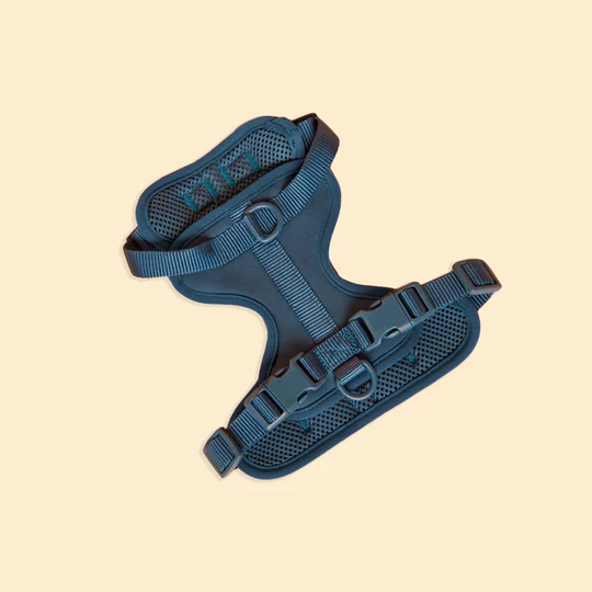 Westley Harness Midnight from Catdog Store