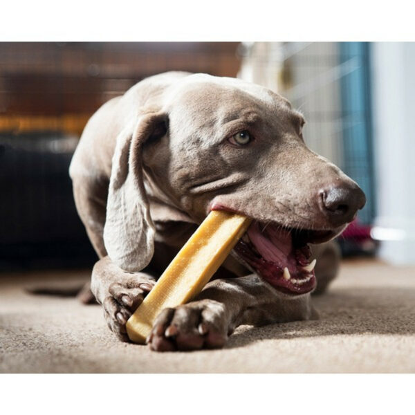 Longer Lasting Chews