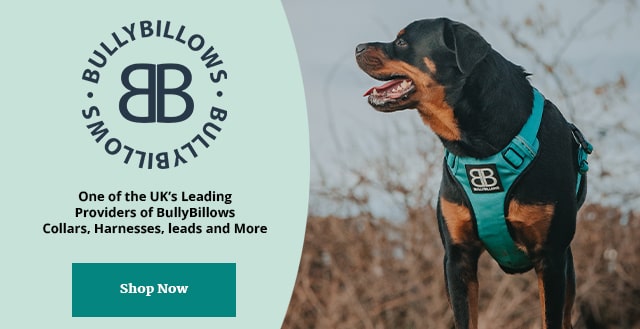Bullybillows Collars, Harnesses and Leads UK Nottingham
