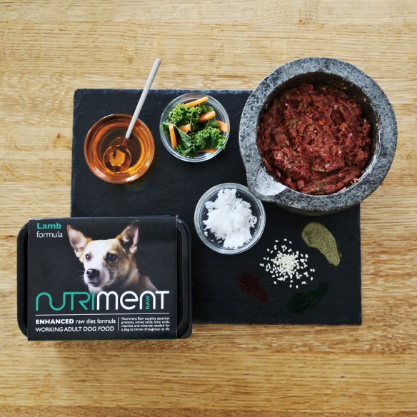 Nutriment Lamb formula | Adult | 500g tub from Catdog Store