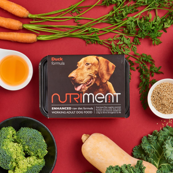 Nutriment Duck Formula | Adult | 500g tub from Catdog Store