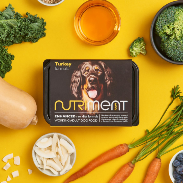 Nutriment Turkey formula | Adult | 500g tub from Catdog Store