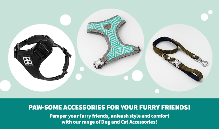 CATDOG accessories for Dogs Banner Mobile