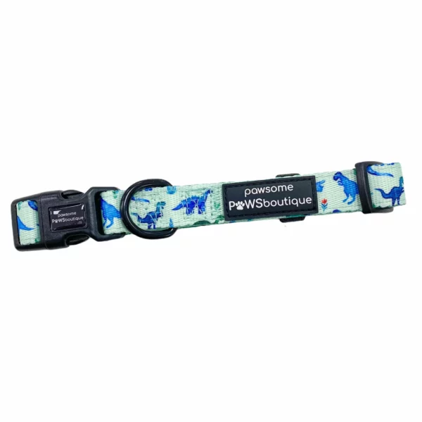 Pawsome Paws Boutique Dinky Dino Collar from Catdog Store