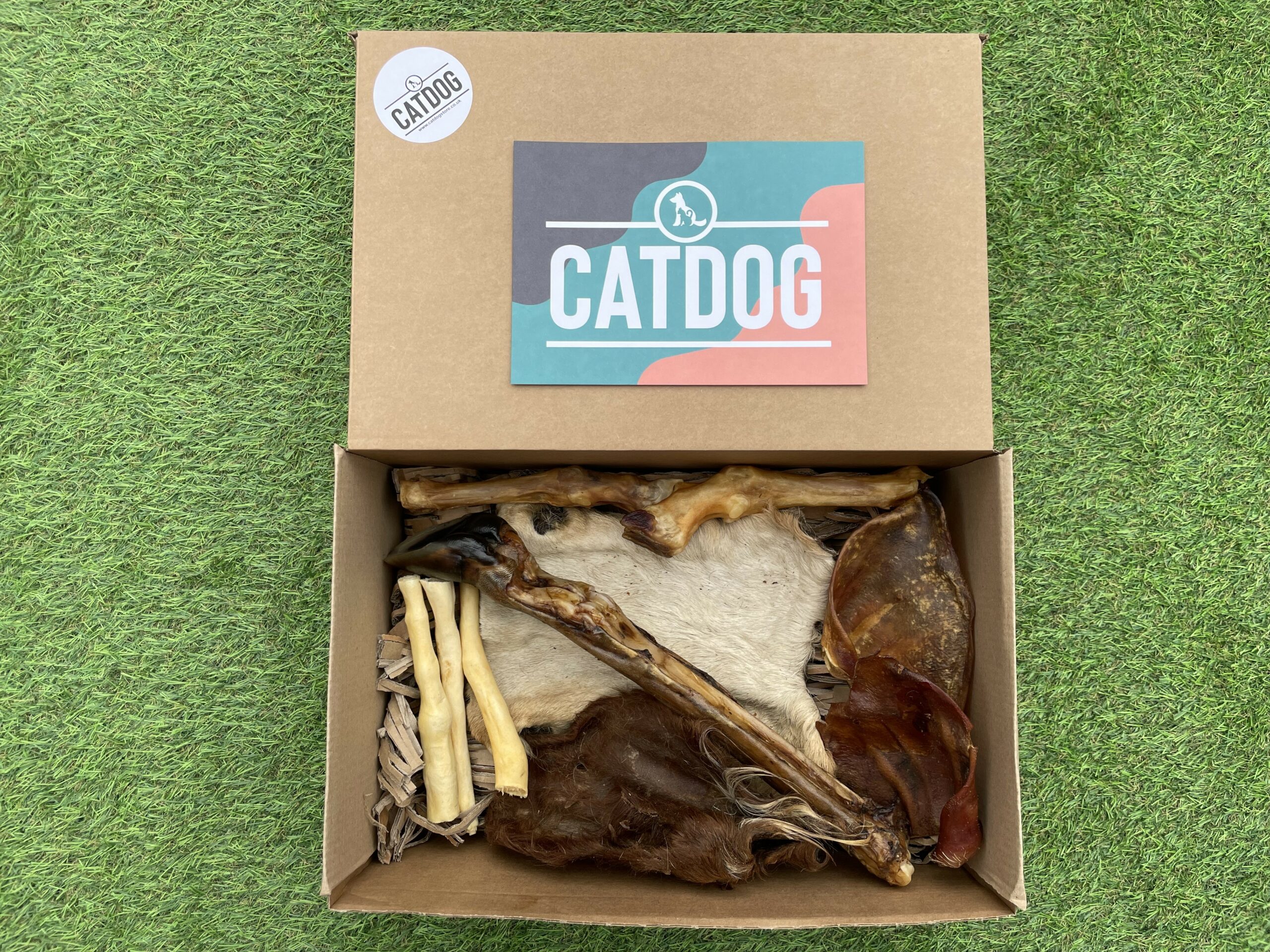The 'Big Chomper' Box - Image 2