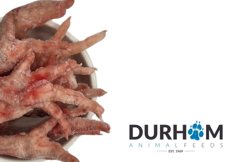 Frozen Chicken Feet | 1kg